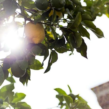 Bed and Breakfast Domus Citri Caserta Exterior foto