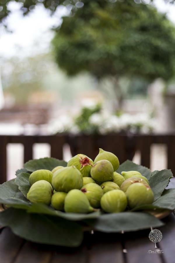 Bed and Breakfast Domus Citri Caserta Exterior foto