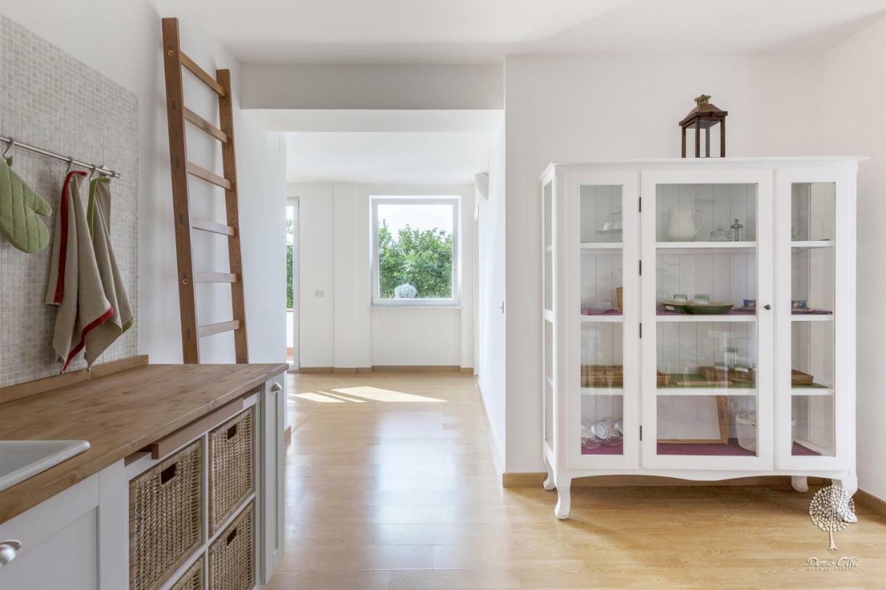 Bed and Breakfast Domus Citri Caserta Exterior foto