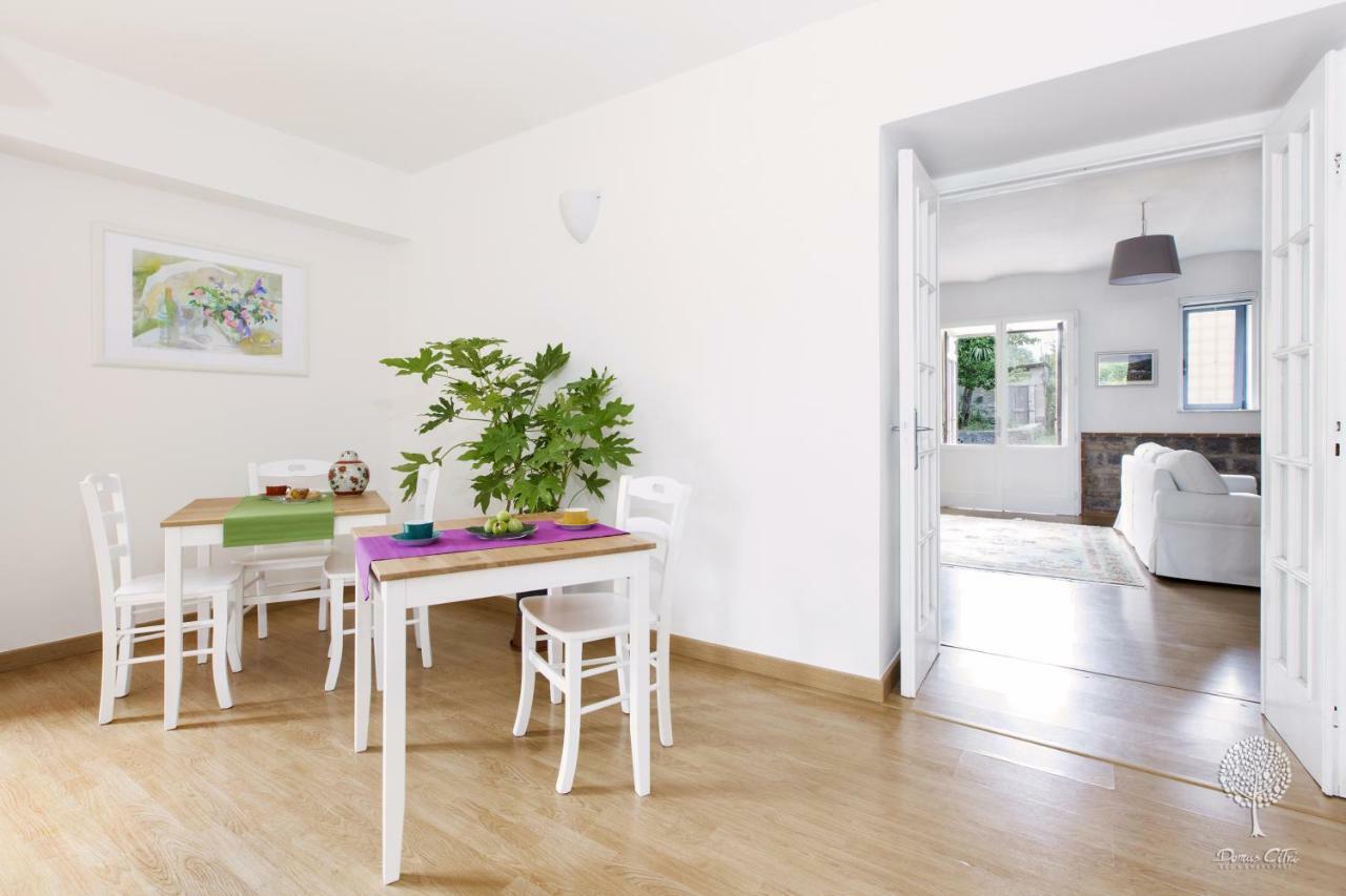 Bed and Breakfast Domus Citri Caserta Exterior foto